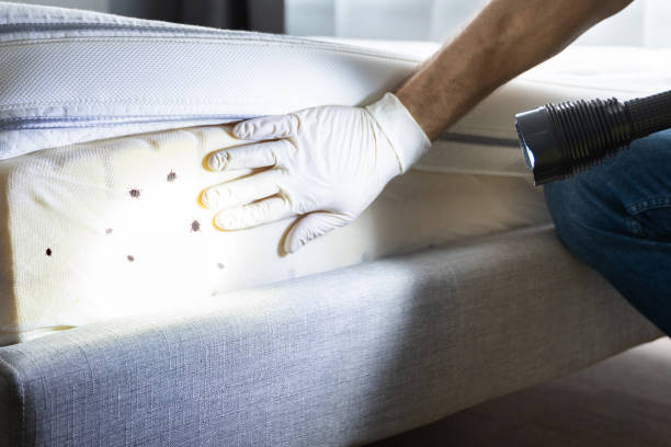 Best Affordable Pest Control Services  in Germantown, WI